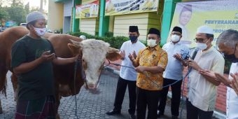 Golkar Jatim Kurban Belasan Ekor Sapi, Warga Isoman Dapat Prioritas