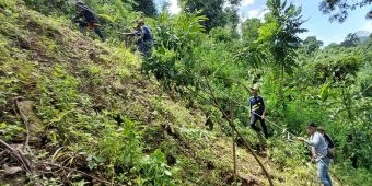 Ratusan Relawan Gotong Royong Tanam Pohon di Lereng Gunung Kelud