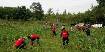 Diikuti Warga Binaan, Lapas Tuban dan Perhutani Tanam Ratusan Pohon