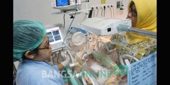 RSUD tak Beri Rekomendasi KJS, Bayi Kembar Tiga di Jombang Butuh Uluran Tangan