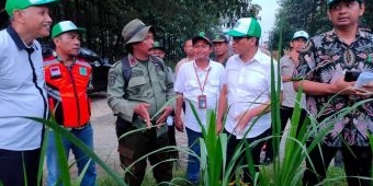 Tinjau Agroforestry Tebu Mandiri, Natalas Ungkap Peluang Pendapatan Perhutani