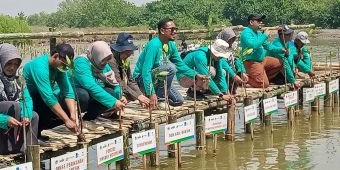 Selain Tanam 16.000 Bibit, Cargill Resmikan Arboretum Mangrove di Kalimireng Gresik