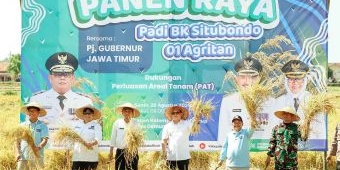 Pj Gubernur Jatim Panen Raya Padi Varietas BK 01 Agritan di Situbondo