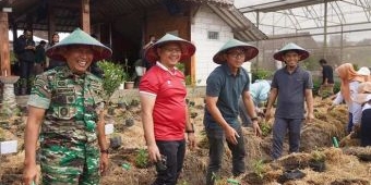 Tekan Inflasi Daerah, Pemkot Batu Gelar Gerakan Tanam Cabai