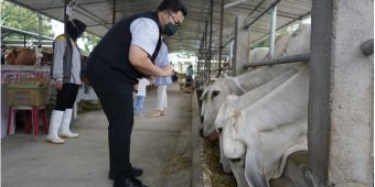 Poktan Berhasil Olah Limbah Sapi Jadi Biogas dan Pupuk, Bupati Kediri Beri Apresiasi