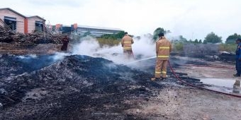 Tumpukan Kayu Palet di Pergudangan WIN Gresik Terbakar