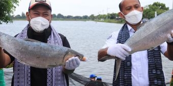 Pangkah Wetan Gresik Dicanangkan Jadi Kampung Perikanan Budi Daya