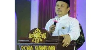 Warga Bawean Geger! Ketua PCNU: Adu Sapi atau Thok-Thok Bukan Tradisi Bawean