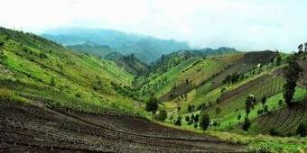 Gagal Panen, Petani Desa Argosari Lumajang Dibantu Beras