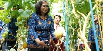 Hari Anak Nasional 2024, Pj Wali Kota Kediri Ajak Anak-Anak Petik Melon di Kampung Tani Kleco