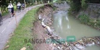 Ambrol, Plengsengan Sungai Marmoyo di Kedungjati Kemungkinan Tak Diperbaiki Tahun ini