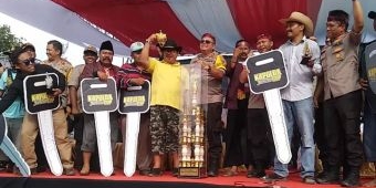 Tutup Gebyar Budaya Madura 2019, Kapolda Jatim Lepas Lomba Kerapan Sapi