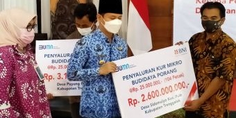 Tanpa Agunan, 228 Petani Porang di Trenggalek Terima Modal Rp 5,7 Miliar dari BNI