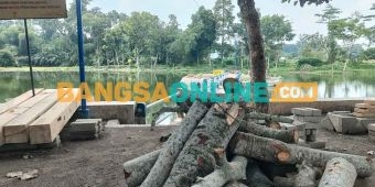 DLH Kabupaten Kediri Tinjau Lokasi Penebangan Pohon di Sumber Complang