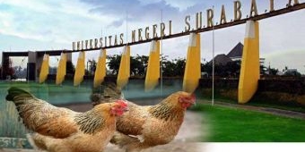 ​Stttt.... Ada Ayam Kampus Dijual Terang-terangan di Dekat Unesa