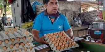 Heboh Telur Palsu di Kediri, Ternyata Telur Infertil