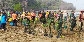 Kasdim 0801 Pacitan Pimpin Penanaman Ribuan Pohon Mangrove