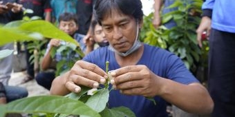 Dukung Program Pertanian, Dispertabun Kediri Bangun Balai Penyuluhan di 5 Kecamatan