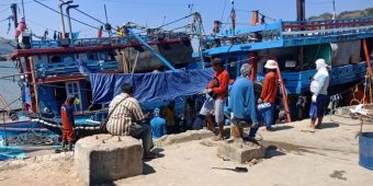 Awal Musim Penghujan, Tangkapan Ikan Nelayan di Pacitan Melonjak