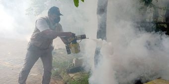 Kasus DBD di Sidoarjo Meningkat, BHS Peduli Gelar Fogging di Desa Ngampelsari