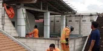 Resahkan Warga, BPBD Kota Madiun Musnahkan Sarang Tawon Ndas