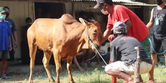 Tingkatkan Kualitas Hidup Melalui Kebaikan di Momen Idul Adha