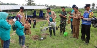 Atasi Krisis Global, Perumda Tugu Tirta Inisiasi Penanaman Pohon di Catchment Bromo Tengger Semeru