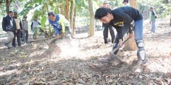 Bupati Madiun Dukung Warga Pinggir Hutan Tanam Porang