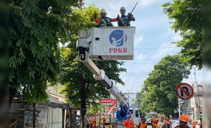 Pimpin Langsung Gerpas Pohon, Bupati Jember Sisir 9 Ruas Jalan