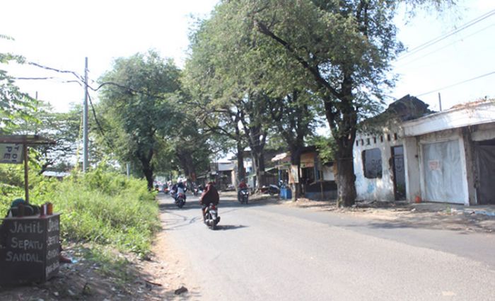 Sempat Diprotes Warga, Jalan Rusak di Ruas Talun-Gununggangsir Pasuruan Mulai Dilakukan Perbaikan