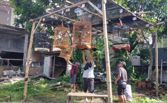 Komunitas ini Gagas Kampung Burung Bioro Malang