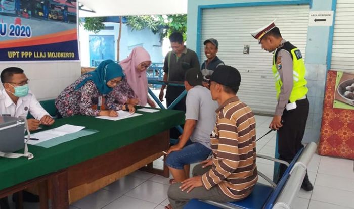 Sopir Bus AKDP Banyak yang Darah Tinggi