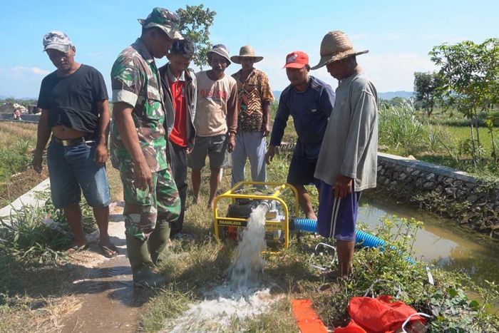 Dukung Peningkatan Produksi Padi, Babinsa Lakukan Pendampingan dalam Percepatan Pompanisasi