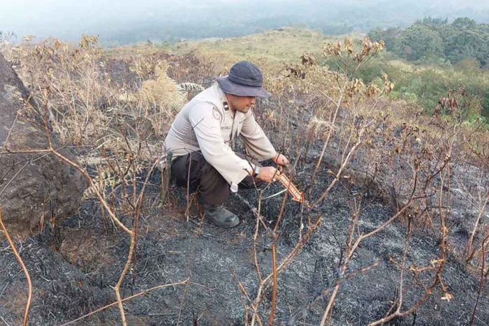 Polres Malang Beberkan Sebab Kebakaran Gunung Arjuno