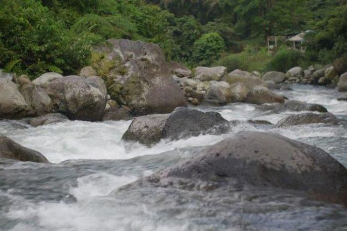 Dragon Plate Langkat, Rekomendasi Tempat Kemah Dekat Sungai