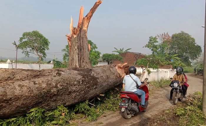 Puting Beliung Porak-porandakan Puluhan Rumah di Sidoarjo