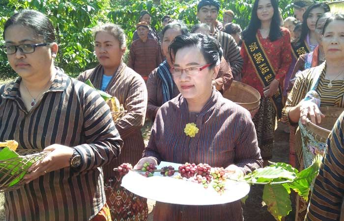 Mengarak Pengantin Kopi di Keboen Kopi Karanganjar 