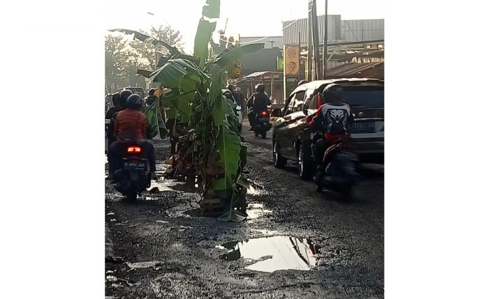 Ditanami Pisang Warga, DPUTR Gresik Perbaiki Kerusakan Jalan Grogol Menganti