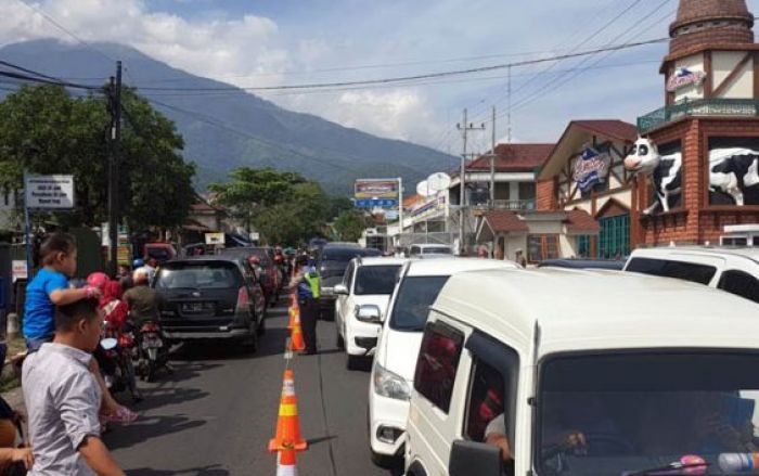 Urai Kemacetan di Jalur Wisata Prigen, Pemkab Pasuruan akan Usulkan Pelebaran Jalan