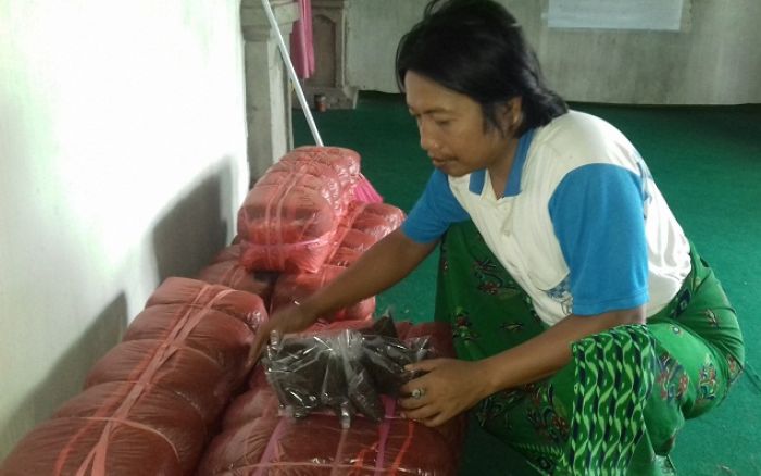 Pedagang Tembakau Probolinggo Mengeluh, Harga Terjun Bebas