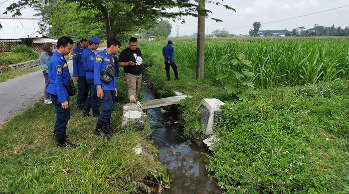 Warga Nglegok Blitar Tewas Dililit Ular, Damkar Sisir Lokasi Kejadian