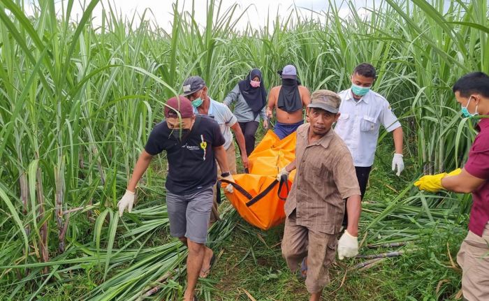 Perempuan dan Bayi Baru Lahir Ditemukan Meninggal di Kebun Tebu Kecamatan Kepung Kediri