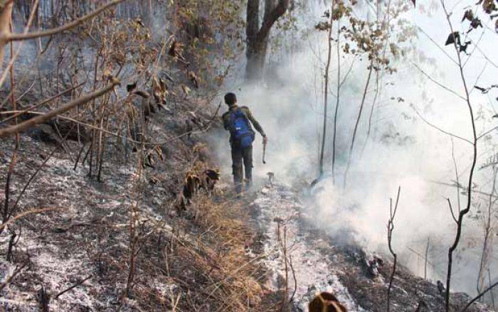 7 Pendaki Gunung Lawu yang Tewas: Sumarwan Semula Tak Ingin Mendaki, Namun Turuti Kemauan Anak