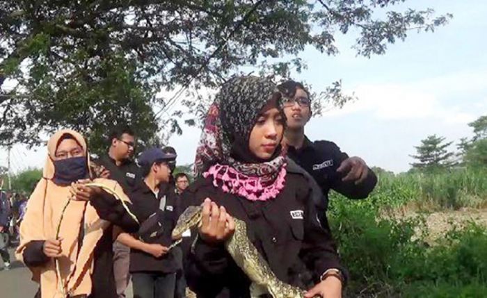 ​Tekan Populasi Hama, Warga Mlati Kediri Lepaskan Predator, Inisiasi Kampung Satwa