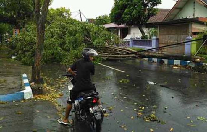 Puting Beliung Porak Porandakan Rumah-rumah di Pacitan