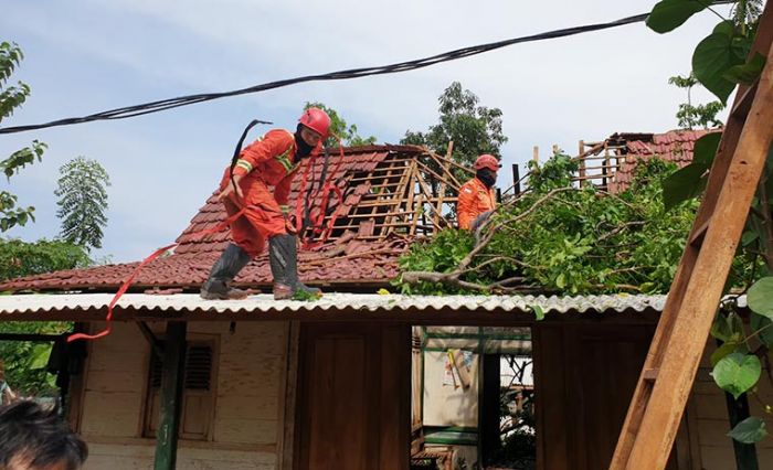 Diterjang Angin Kencang, Satu Rumah di Tuban Rusak Tertimpa Pohon