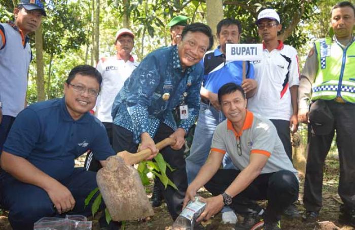 Pemkab Gresik Jadikan Desa Petiyen Kawasan Agrowisata Tanaman Coklat