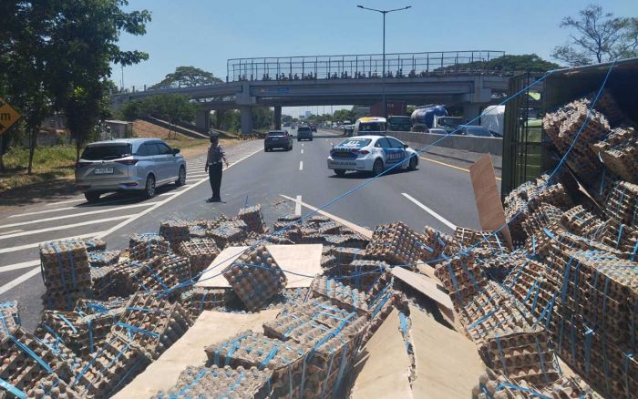 Diduga Karena Ban Meletus, Truk Pengangkut Telur Terguling di Tol Sidoarjo-Waru