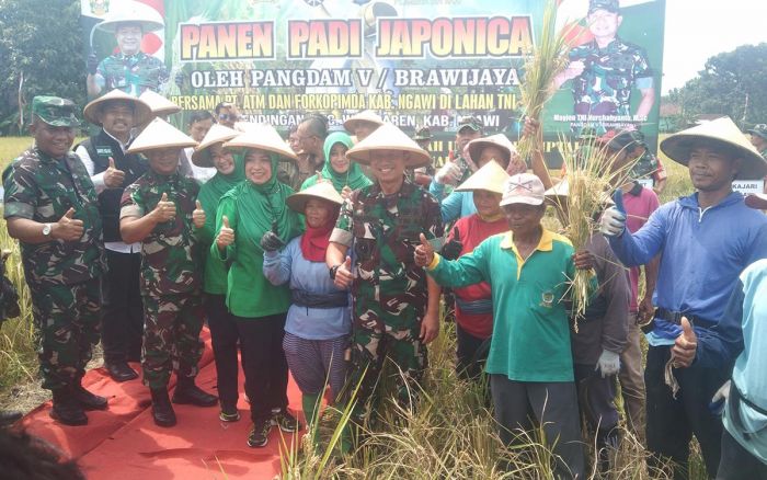 Pangdam V Brawijaya Pimpin Panen Raya Padi di Ngawi