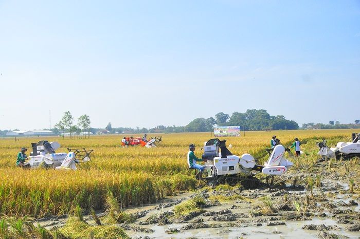 Sungai Bengawan Solo Fluktuatif, Bupati Bojonegoro Minta Petani Pantau TMA 